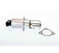 Válvula EGR WAHLER 710725D