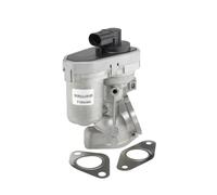 Válvula EGR AGR eléctrico 710925R BorgWarner (Wahler) para FORD CITROËN PEUGEOT