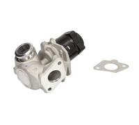 Válvula EGR WAHLER 710929D