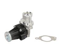 Válvula EGR WAHLER 710947D