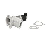Válvula EGR WAHLER 710949D