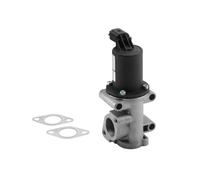 BorgWarner Válvula AGR Eléctrica Para Fiat Doblo 1.9 D Multijet Bravo II Alfa