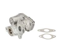 Válvula EGR WAHLER 711022D