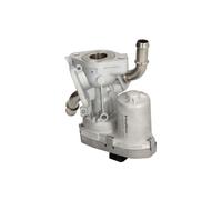 Válvula EGR WAHLER 711023D