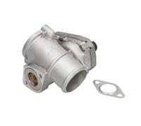 Válvula EGR WAHLER WA710942D/1