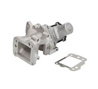 Válvula EGR WAHLER WA710975D/1