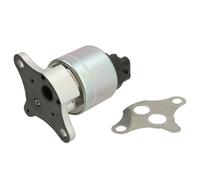 Válvula EGR WAHLER WA711033D/1