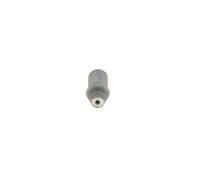 Válvula Limitadora De Presión Common Rail System Bosch 1110010032 para Iveco