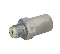 Válvula limitadora de presión, Sistema Common Rail BOSCH 1 110 010 034