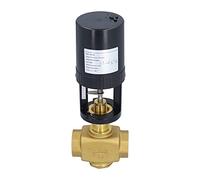 Válvula motorizada eléctrica Latón BSP Válvula de control de 2 vías AC 24V Válvula de regulación industrial para la potencia Industrias de metalurgia química de petróleo (TN40)