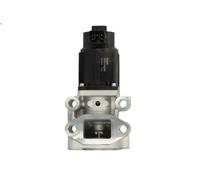 Válvula, reciclaje de gases de escape DELPHI para PAJERO III 3.2 2000-2006