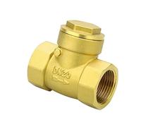 válvula solenoide /2" 3/4" 1" 2" Válvula de retención de rosca hembra de latón con boca de alambre de latón horizontal(1-1/2")
