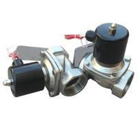 Válvula solenoide de agua de acero inoxidable de 1 pieza - Válvula de agua de conmutación normalmente cerrada con diafragma de rosca de 2 vías(24V DN32)