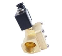 Válvula solenoide de agua eléctrica latón 1/4 3/8 1/2 pulgada, 2 vías, normalmente cerrada, 1.6Mpa, diafragma, 0927000 0927100 0927200(1/4",AC110V_NBR SEAL)