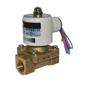 Válvula solenoide de dos vías 1/2 SVPW2145-AC220V SVPW2145-DC24V(SVPW2145-AC220V)