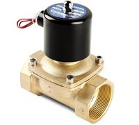 Válvula solenoide de latón normalmente cerrada 1/2 "3/4" 1" 2" pulgadas 220VAC 110VAC 24VDC 12VDC 24VAC Acción directa Compatible con agua, gasóleo(2",24VDC)