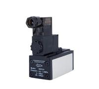 Válvula solenoide ESV200 ESV300 ESV400 ESV600 220 V 110 V 24 V 12 V Terminal/Tipo de ojal Solenoide simple/doble(ESV430E,AC 110V)