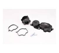 Vaico Válvula de ventilación de cárter V20-0956