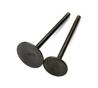 Válvulas de admisión y escape de motocicleta TTR250R 250cc compatibles con 4GY-12111-00 4GY-12121-00