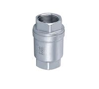 Válvulas de retención H12W-16P de Acero Inoxidable 304, Rosca Hembra, Boca de Alambre, válvula de retención Vertical, válvula antirretorno(1Inch)