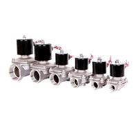 Válvulas solenoides eléctricas DN15 DN20 DN25 DN50, normalmente cerradas, de 2 vías, de acero inoxidable, de 1/2", 3/4", 1" y 2"(1",VITON-SEAL_240VAC)