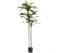 Valyria Home - Drácena Artificial 160 cm - Planta Artificial Realista Decorativa - Decoración de Hogar y Oficina - Planta Tropical de Plástico - Dracaena Artificial