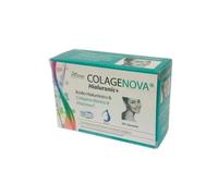 Vaminter Colagenova Hialurônico + 30Caps