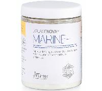 COLAGENOVA Marine +, Colágeno Marino, Ácido Hialurónico y Magnesio, Complemento Alimenticio en Polvo para Mantenimiento del Sistema Óseo y Muscular, Movilidad y Belleza (295 Gr, Vainilla)