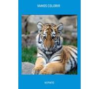 Vamos Colorir (ebook)