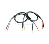 Van Damme Black Series Cable de altavoz 2x 4mm Par terminado
