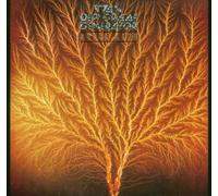 Van Der Graaf Generator - still life