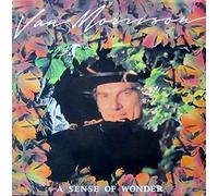 Van Morrison - A Sense Of Wonder [Vinilo]