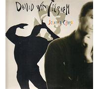 VAN TIEGHEM DAVID - Strange cargo (1989) [VINYL]