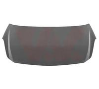 VAN WEZEL 3750660 Capó