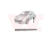 VAN WEZEL 4028405 Listón embellecedor/protector puerta Atrás izquierda Compatible con PEUGEOT 206 Fastback 2A/C 206+ Hatchback 2L, 2M 206 SW 2E/K 206 Furgoneta