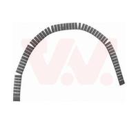 VAN WEZEL Chapa de panel para SEAT: Ibiza, Leon, Altea, Toledo, Cordoba, Ateca, Exeo, Arona, Alhambra, Marbella, Arosa, Inca, Tarraco (Ref: 9901149)