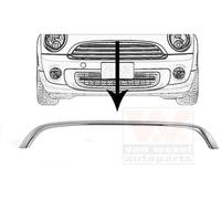 VAN WEZEL ListÃ³n embellecedor/protector, panal de radiador para MINI: MINI (Ref: 0508518)