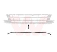 VAN WEZEL Listón embellecedor/protector, panal de radiador para VOLKSWAGEN: Passat (Ref: 5742585)