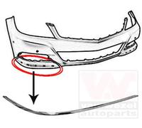 VAN WEZEL 3097482 Protector para parachoques