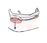 VAN WEZEL Ornamento Listón Protector Parachoques Delant. Derecho para Mercedes