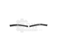 VAN WEZEL Ornamento Protector Parachoques Delantero Izquierdo para Peugeot 406