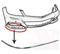 VAN WEZEL Protector para parachoques Delante, derecha 3097482