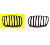 VAN WEZEL Rejilla delantera para BMW: X5 (Ref: 0687512)