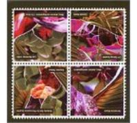 Vanappledorn/Weber/Keats - Terrestrial Music / Eclectic Set for Percussion