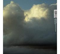 Vanessa Amara - Music For Acoustic Instruments & Feedback [VINYL] [Vinilo]