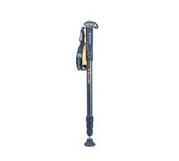 Vanguard Veo 2 - Monopié de Aluminio, Color Gris