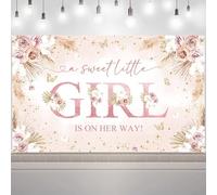 VanillaBay Boho Pampas Baby Shower A Sweet Little Girl is on Her Way - Fondo de fotos para baby shower bohemio con texto en inglés "Hello Baby Party"