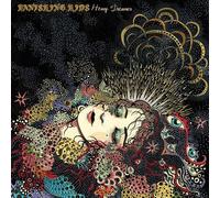 Vanishing Kids - Vanishing Kids - Heavy Dreamer