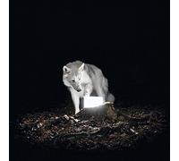 Vanishing Life - Surveillance [Vinilo]