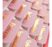 VANRA Pestañas de la Biblia para mujeres, suministros de diario de la Biblia, impresión grande, 96 pestañas para estudiar el Antiguo y Nuevo Testamento con pestañas laminadas en blanco de la Biblia